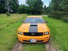 Ford Mustang 2008