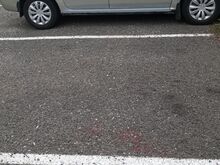 Dacia Logan 1,4 55 kW