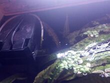 Akvaarium 126L