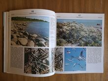 EESTI MAASTIKUD - FOTOALBUM /RAAMAT