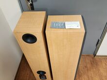 B&W DM 309 HiFi FLOORSTANDING SPEAKERS