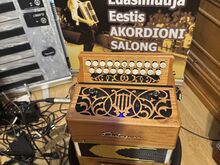 Гармошка Castagnari с микрофонами