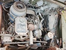 Zil esiosa