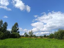 Жилой участок - Пуу теэ 3, Сойнасте, волость Камбья