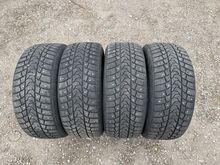 225/55R17 MINERVA Eco Stud 97T naastrehvid
