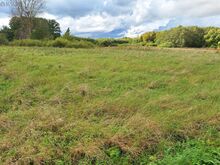 maatükk, maatulundusmaa 21352 m2 - Jõgevamaa