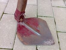 Vana suur kõbla (Soome)
