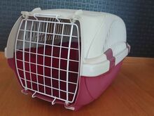 Lemmiklooma transpordipuur