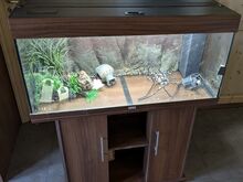 Аквариум 150 л Juwel