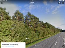 Suur maatükk koos metsaga Saaremaal