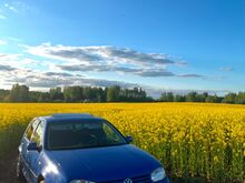 Golf 4