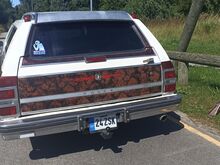 Buick Electra 5.0 104kW