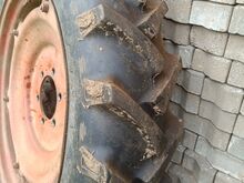 T25/T16 rattad