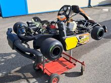 Rotax Max CRG kart