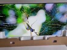 55" Samsung Monitor UUS