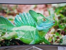 Samsung 32 tolli 4K UHD Monitor