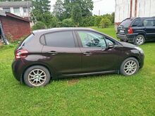 Müia auto
