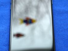 IPhone SE 2020