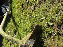 Stihl FS40