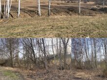 Работы по распиловке и расчистке кустарника, в сезон - �