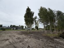 Elamumaa Pärnu linna lähedal otse omanikult.