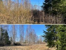 Работы по распиловке и расчистке кустарника, в сезон - �