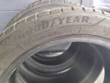 Talverehvid R19