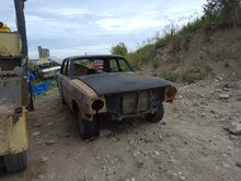 Gaz 24