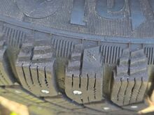 Talverehvid Continental