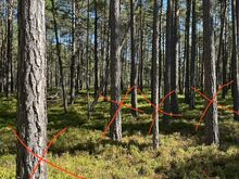 Metsatöödeks ja pinnase korrastamine