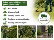 Muru niitmine, aedade hooldus