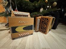 G-duuri karmoška Daniel (Itaalia)