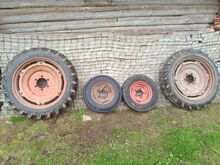 T25/T16 rattad