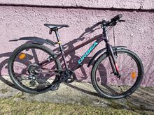 24" lasteratas Orbea MX24