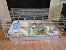 Jänes/küülik/merisiga puur Rabbit + hein, müsli