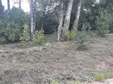 Недвижимость у озера