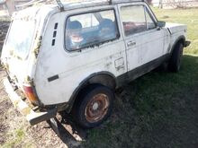 Niva
