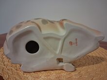 Kaelkirjaku kuju 31cm