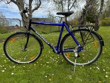 Jalgratas 42"