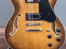 Ibanez AS73 elektrikitarr koos kohvriga