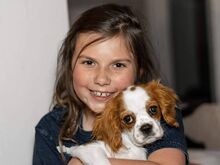 Cavalier King Charlesi spanjeli kutsikad