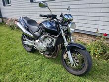 Honda cb600f hornet