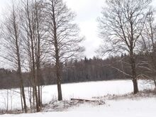 Недвижимость у озера