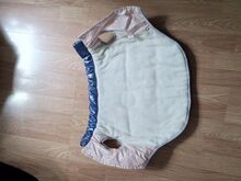 Koera talvevest soe