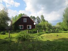 Rauli talu