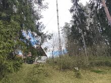 Старая мачта