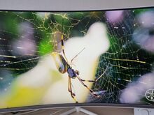 Samsung 32 tolli 4K UHD Monitor