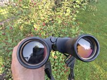 Pinokel 7x50
