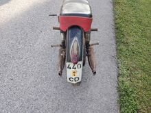 Panionia t5