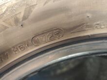 Talverehvid R16